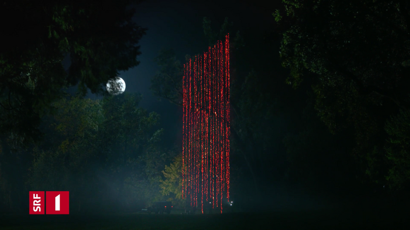 SRF 1 Idents 2.0 Baum